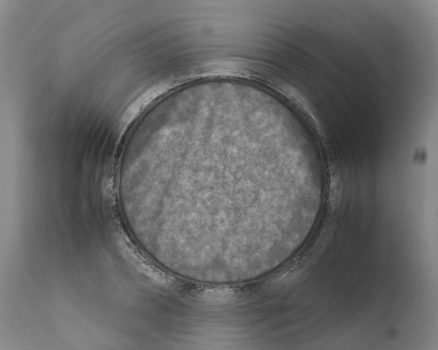 X0000111630882200908141340