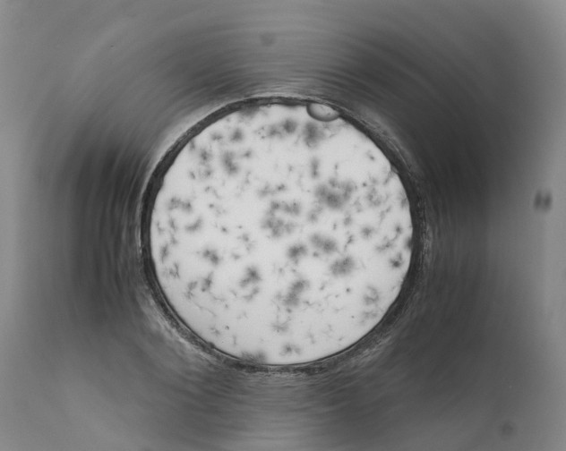 X0000111630884200908141340