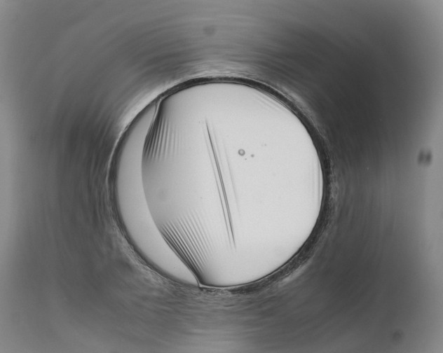 X0000111630885200908141340