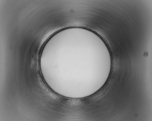 X0000111630886200908141340
