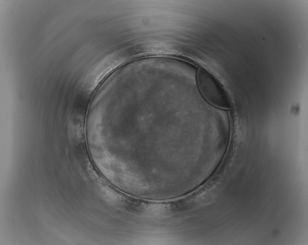 X0000111630889200908141340
