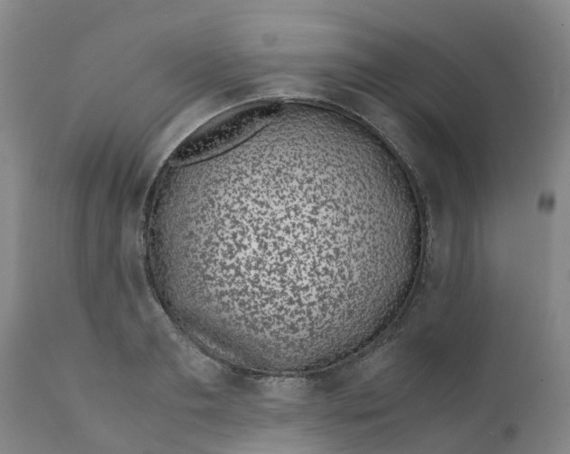 X0000111630893200908141340
