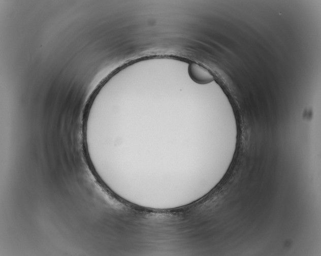X0000111630894200908141340