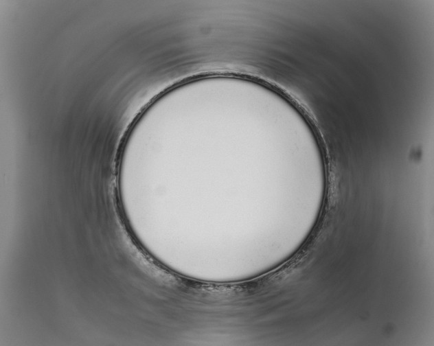 X0000111630895200908141340