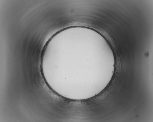 X0000111630896200908141340