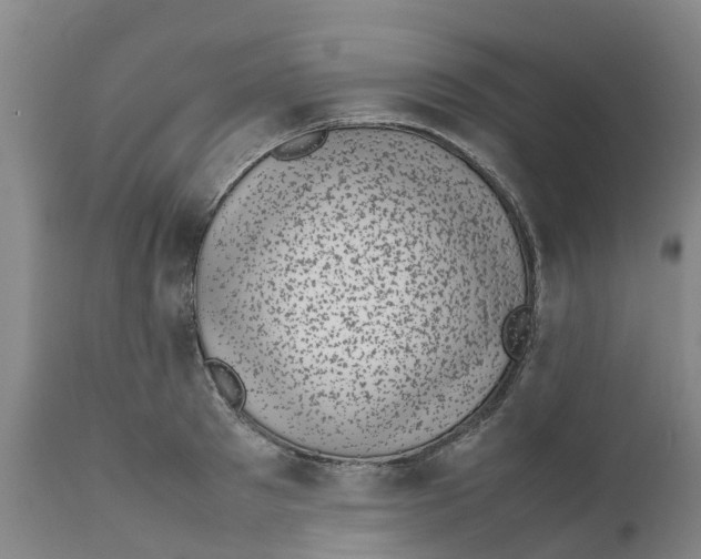 X0000111630897200908141340