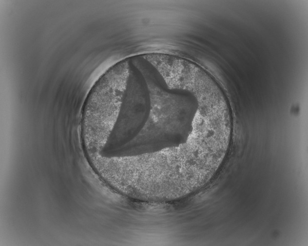 X0000111630899200908141340