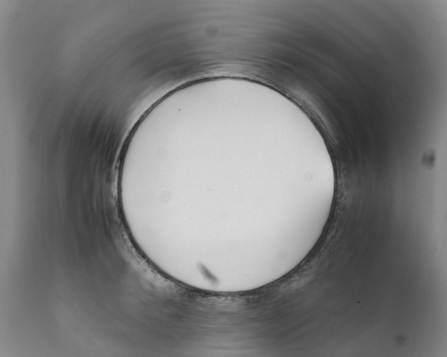 X0000111630900200908141340