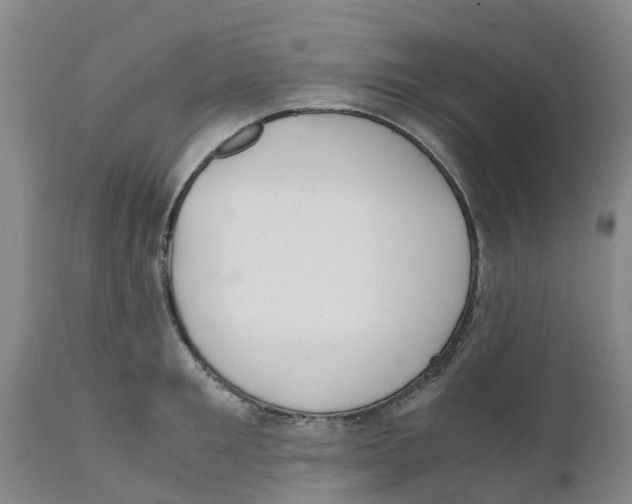 X0000111630901200908141340