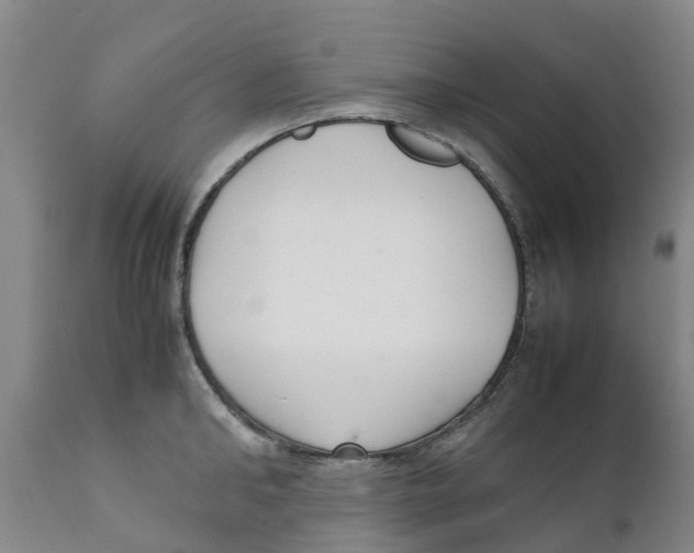 X0000111630902200908141340
