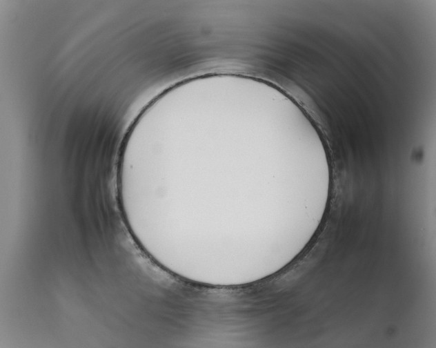X0000111630904200908141340