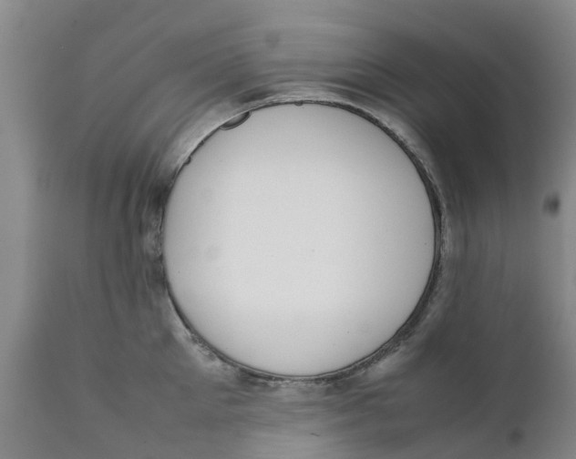 X0000111630905200908141340
