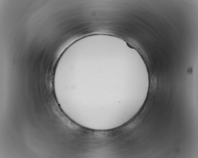 X0000111630908200908141340