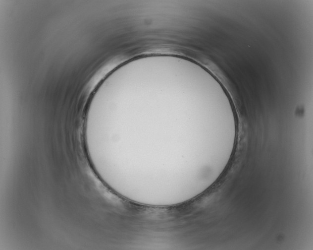 X0000111630909200908141340