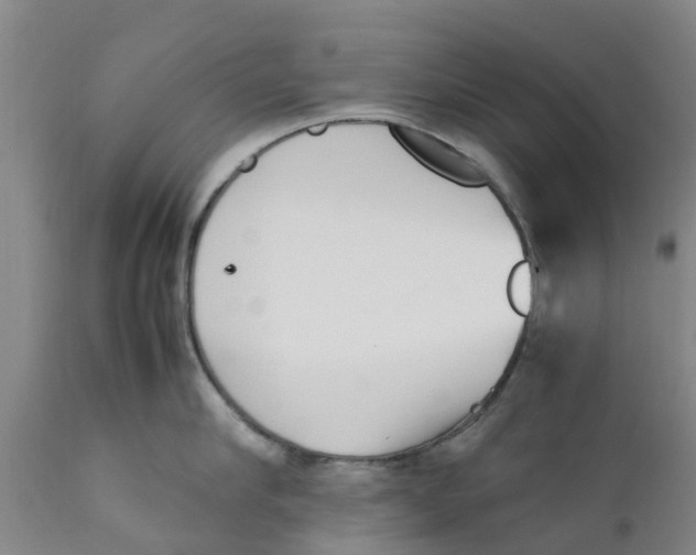 X0000111630910200908141340