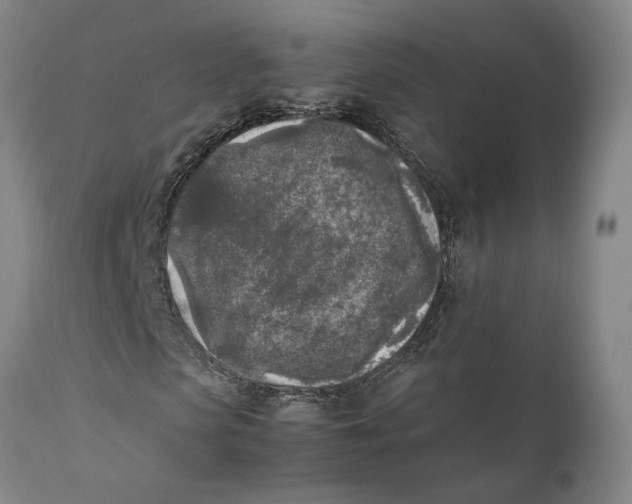 X0000111630913200908141339