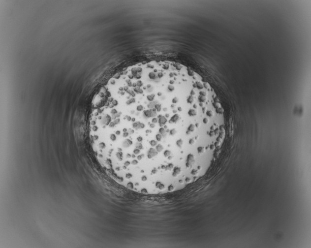 X0000111630915200908141339