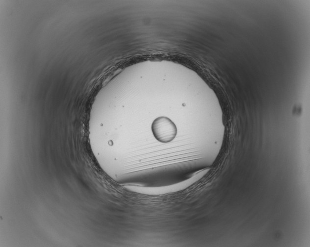 X0000111630916200908141339