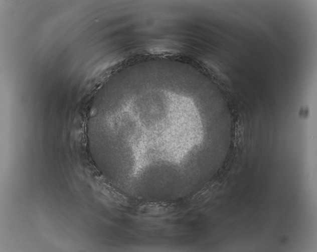 X0000111630917200908141339