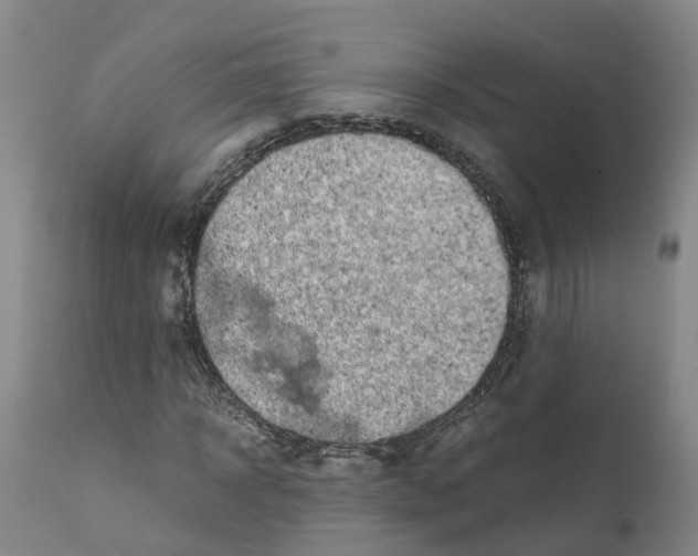 X0000111630918200908141339