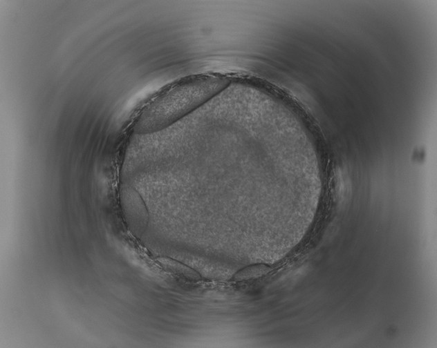 X0000111630920200908141339