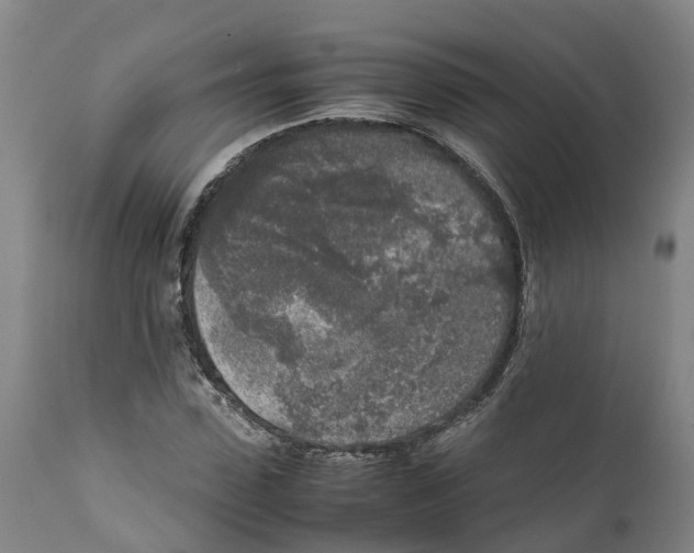 X0000111630923200908141339