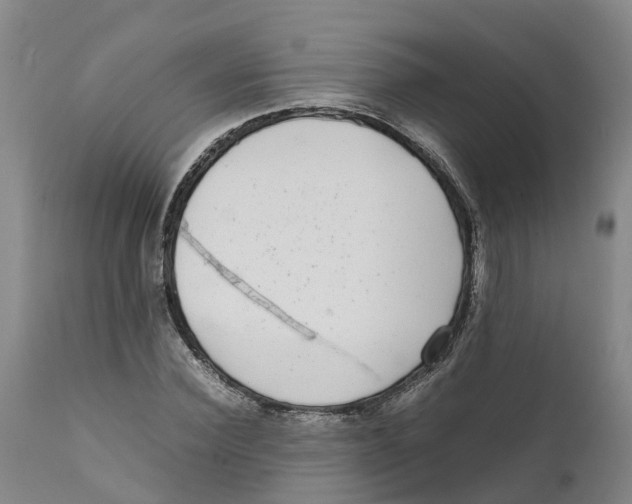 X0000111630924200908141339