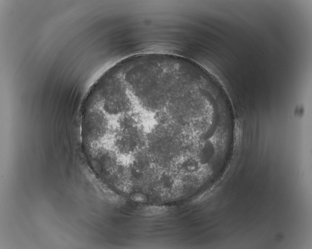 X0000111630925200908141339