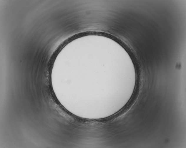 X0000111630926200908141339