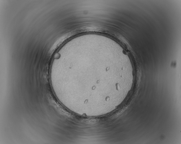 X0000111630930200908141339
