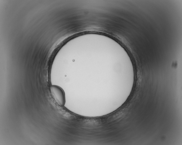 X0000111630931200908141339