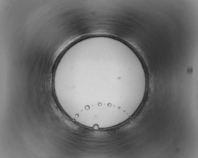 X0000111630933200908141339