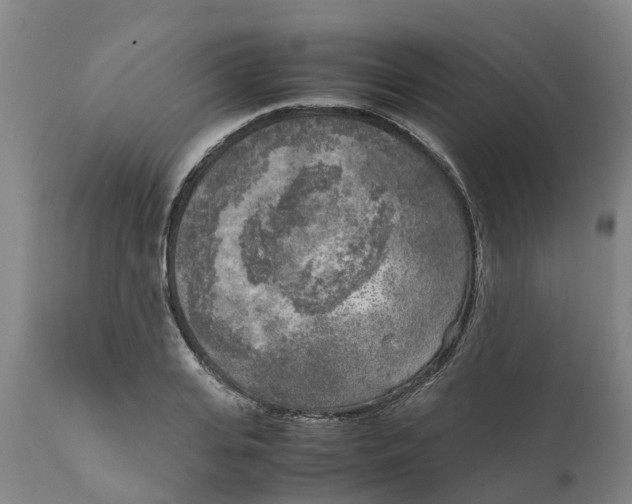 X0000111630935200908141339