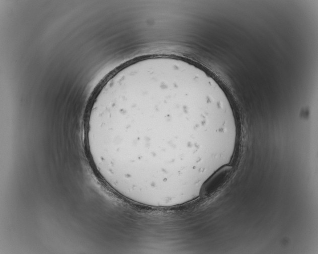 X0000111630936200908141339