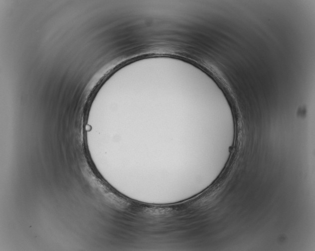 X0000111630939200908141340