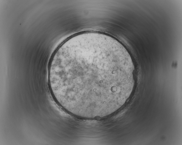 X0000111630940200908141340