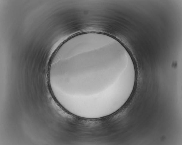 X0000111630941200908141340