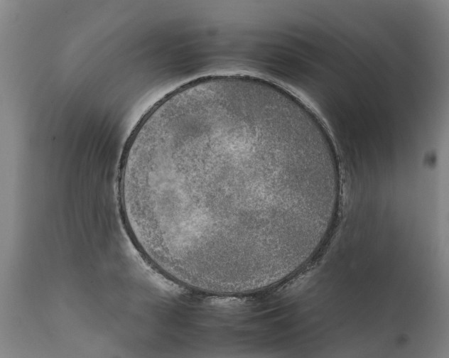 X0000111630943200908141340