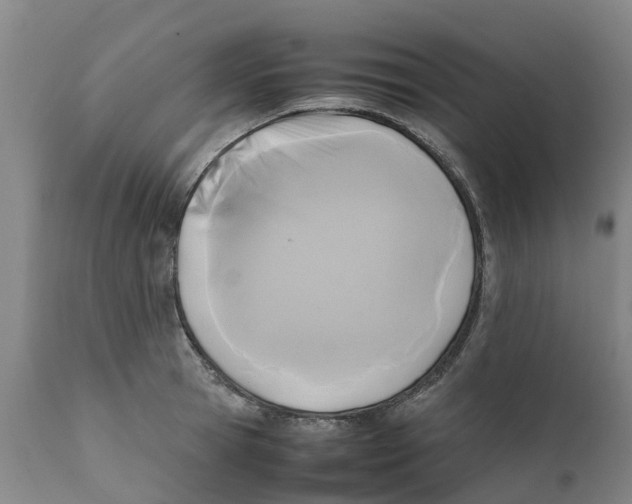 X0000111630945200908141340