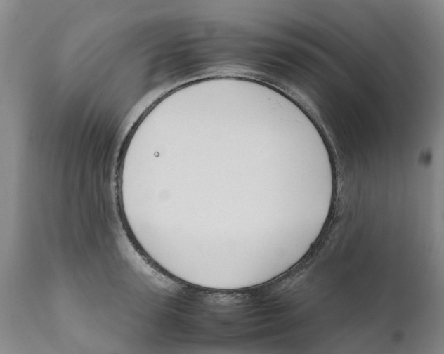 X0000111630947200908141340