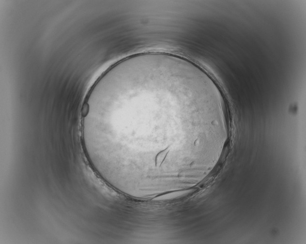 X0000111630948200908141340