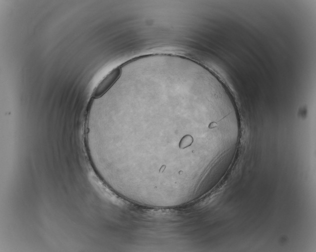 X0000111630952200908141340
