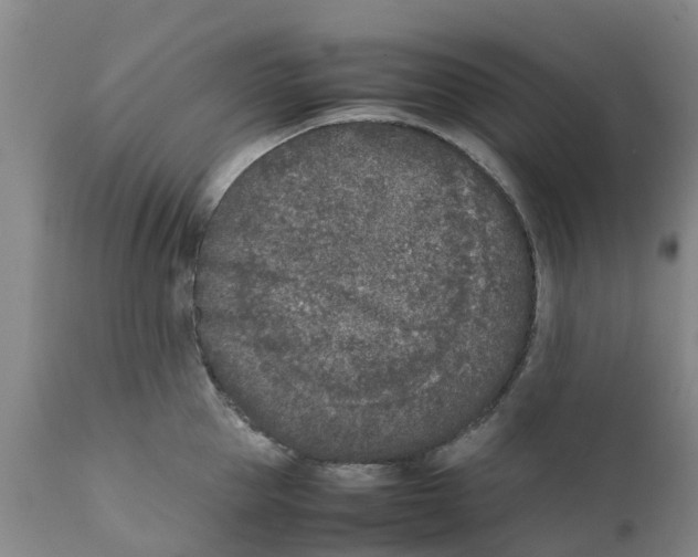 X0000111630953200908141340