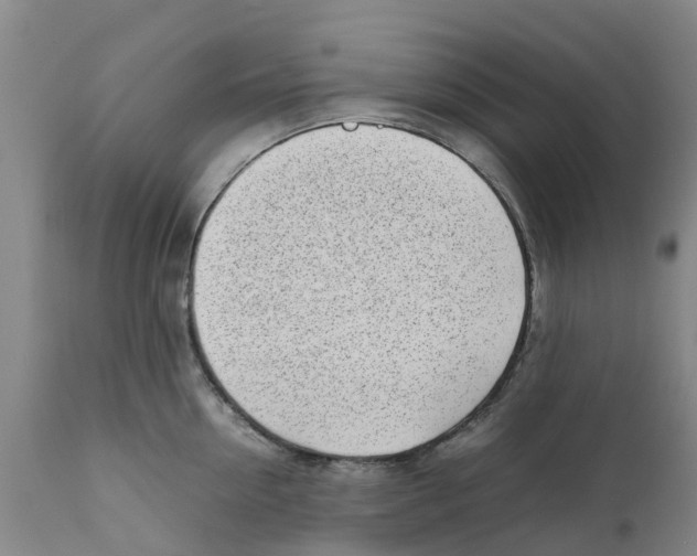 X0000111630954200908141340