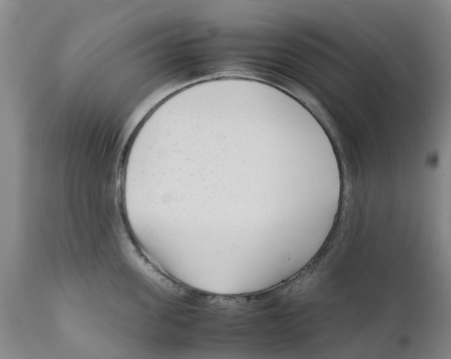 X0000111630955200908141340