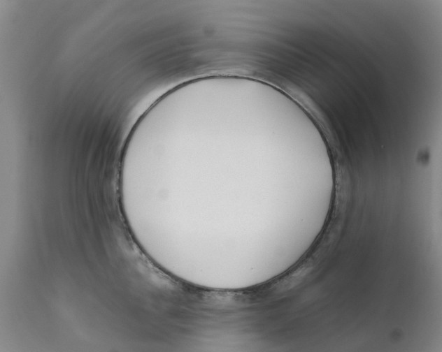 X0000111630956200908141340