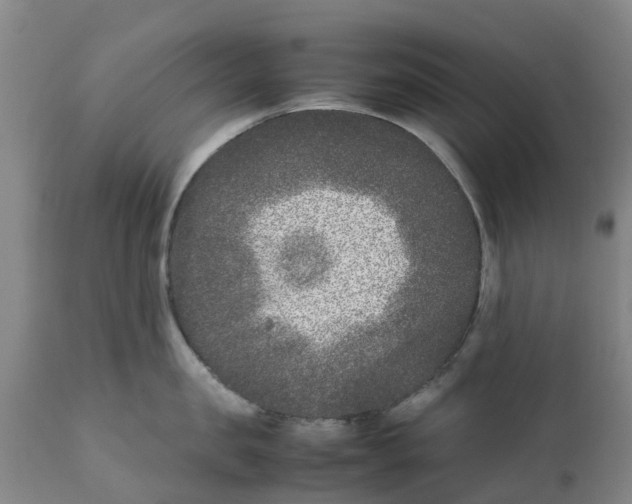 X0000111630957200908141340