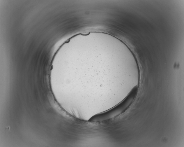 X0000111630960200908141340