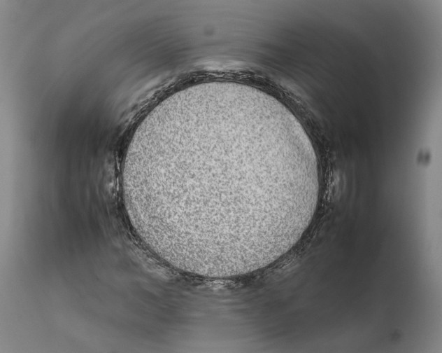 X0000111630966200908141339
