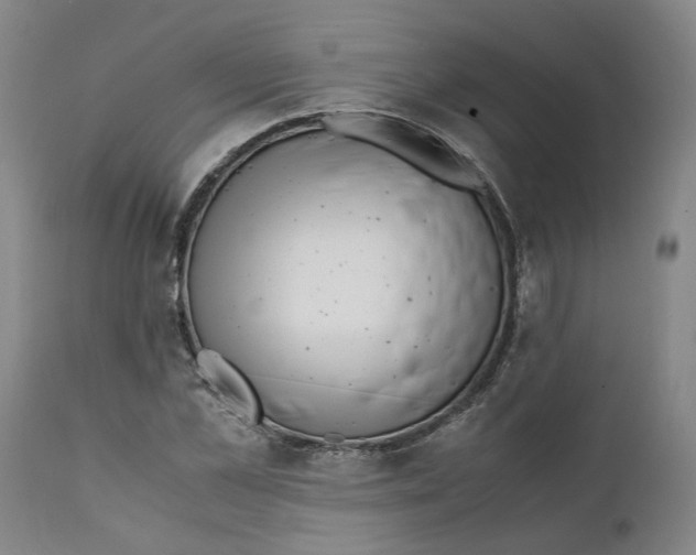 X0000111630973200908141339